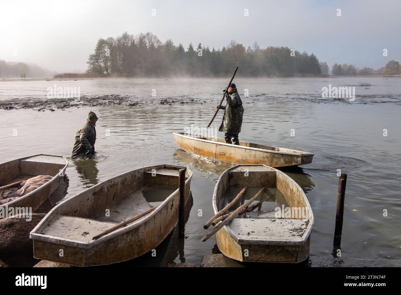 étang de pêche, pêcheurs sur punt, pêche d'automne, capture d'automne de l'étang, automne, étang drainé, pêcheur à patauger Banque D'Images