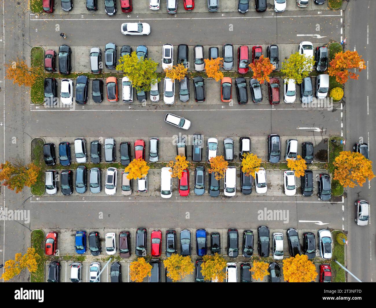 26 octobre 2023, Saxe, Leipzig : quelques arbres colorés d'automne fournissent des éclaboussures de couleur dans le parking d'un centre commercial. L'automne restera humide, froid et inconfortable pour les prochains jours. (Prise avec un drone) photo : Jan Woitas/dpa Banque D'Images