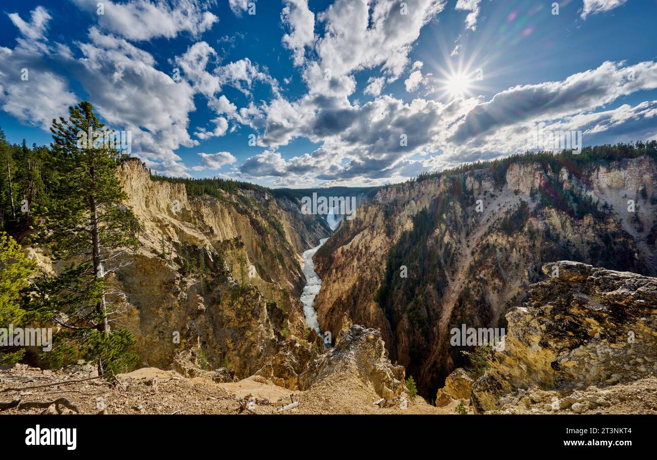 Lower Falls of the Yellowstone River vom Artist point, Yellowstone-Nationalpark, Wyoming, Vereinigte Staaten von Amerika |Lower Falls of the Yellowsto Banque D'Images