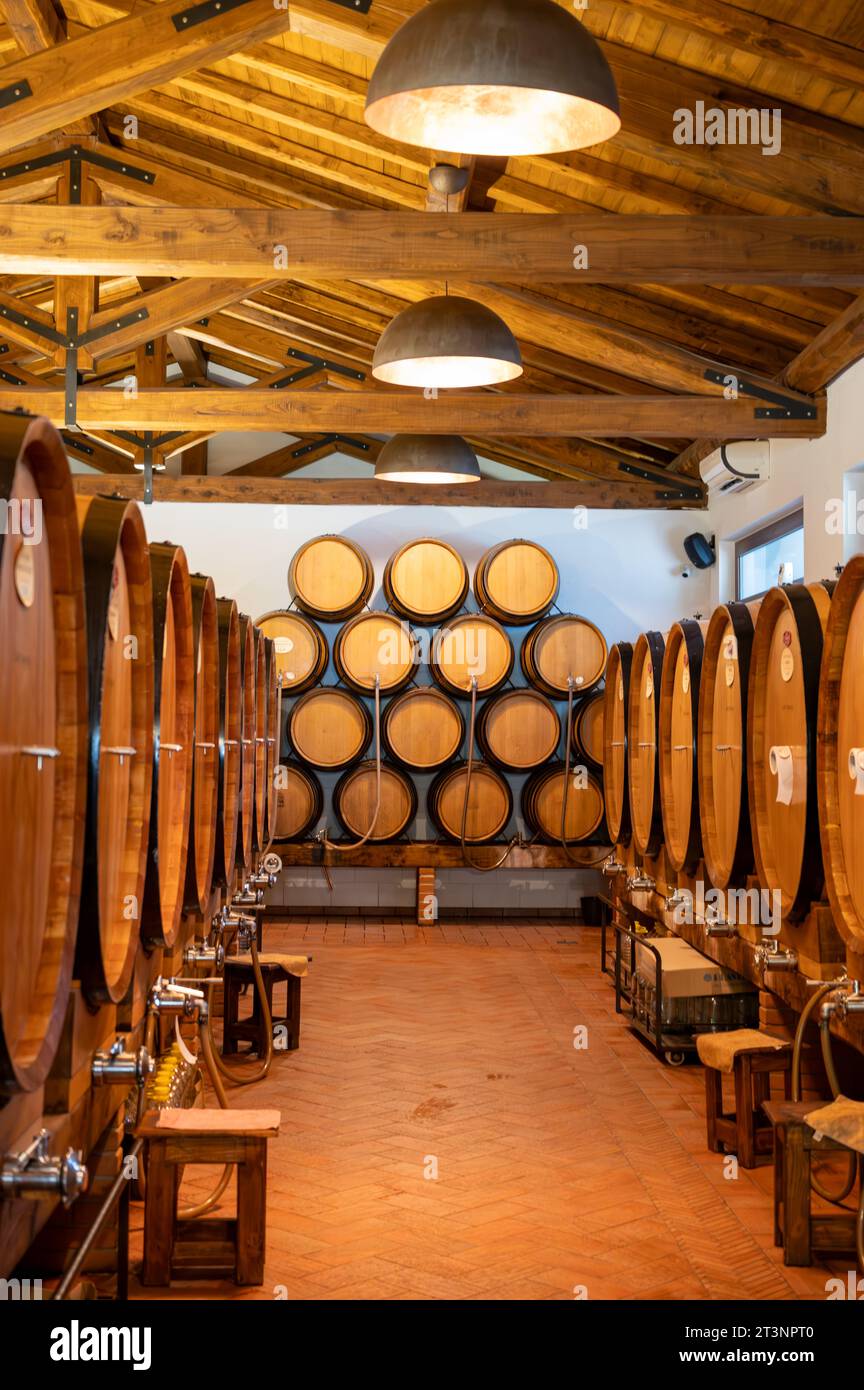 Vins blancs, roses et rouges secs et doux en grands et petits fûts à vendre dans les caves à vin en Italie, Latium Banque D'Images