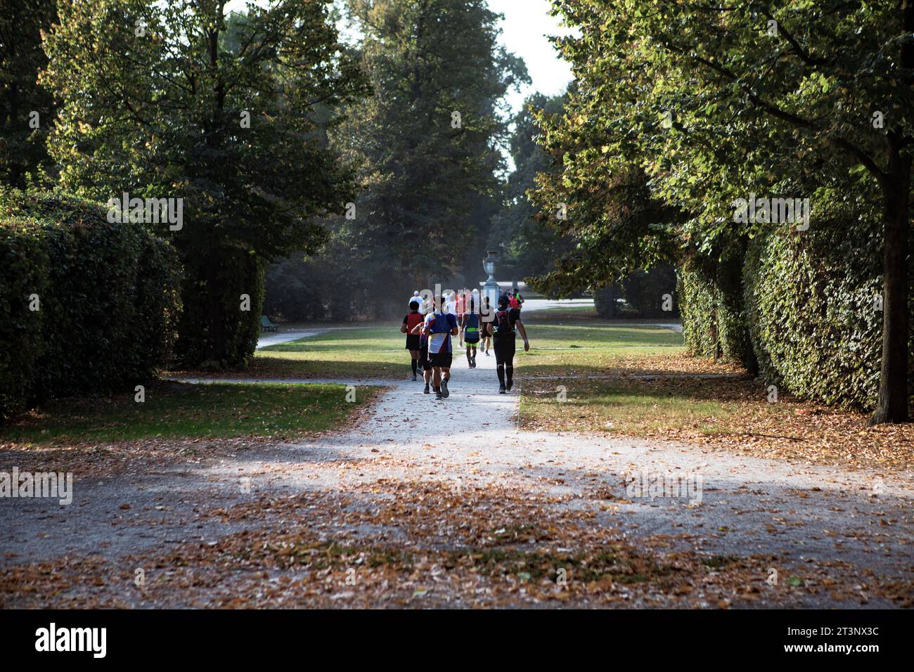 Course à pied à l'intérieur du parc, photo prise le 10/15/2023 à l'intérieur du parc Ducale à Parme Italie Banque D'Images