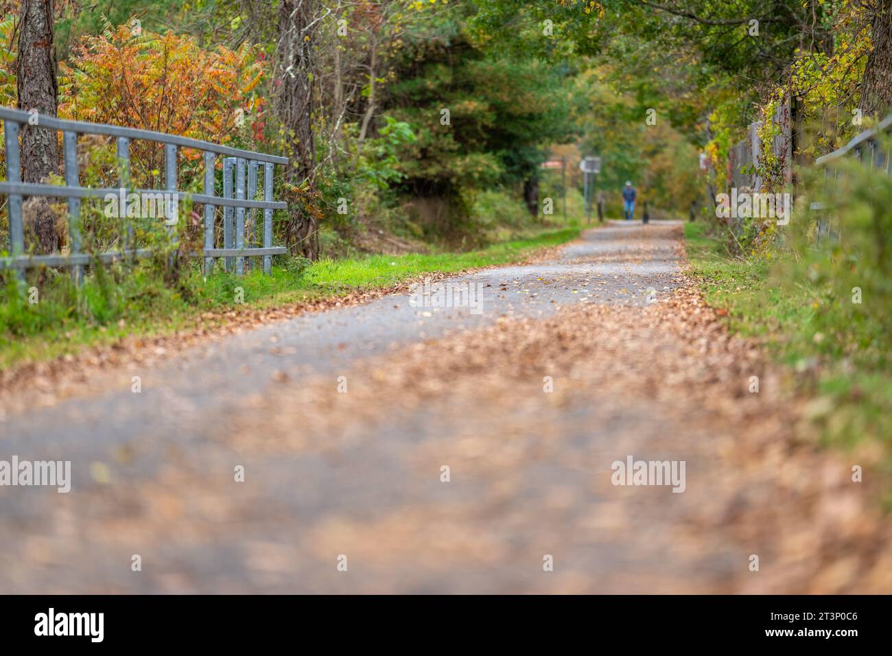 Automne, automne, image d'un long sentier pavé s'étendant au loin avec des feuilles orangées sur le sol. Banque D'Images