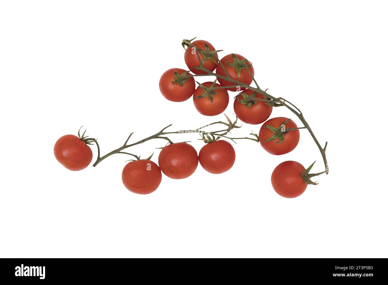 un bouquet de tomates sur un fond transparent Banque D'Images