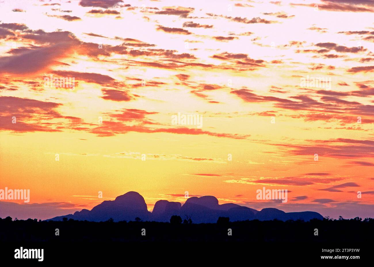 Australie. Territoire du Nord. Le Kata Tjuta (Mont Olga) (les Olgas). Coucher de soleil. Banque D'Images