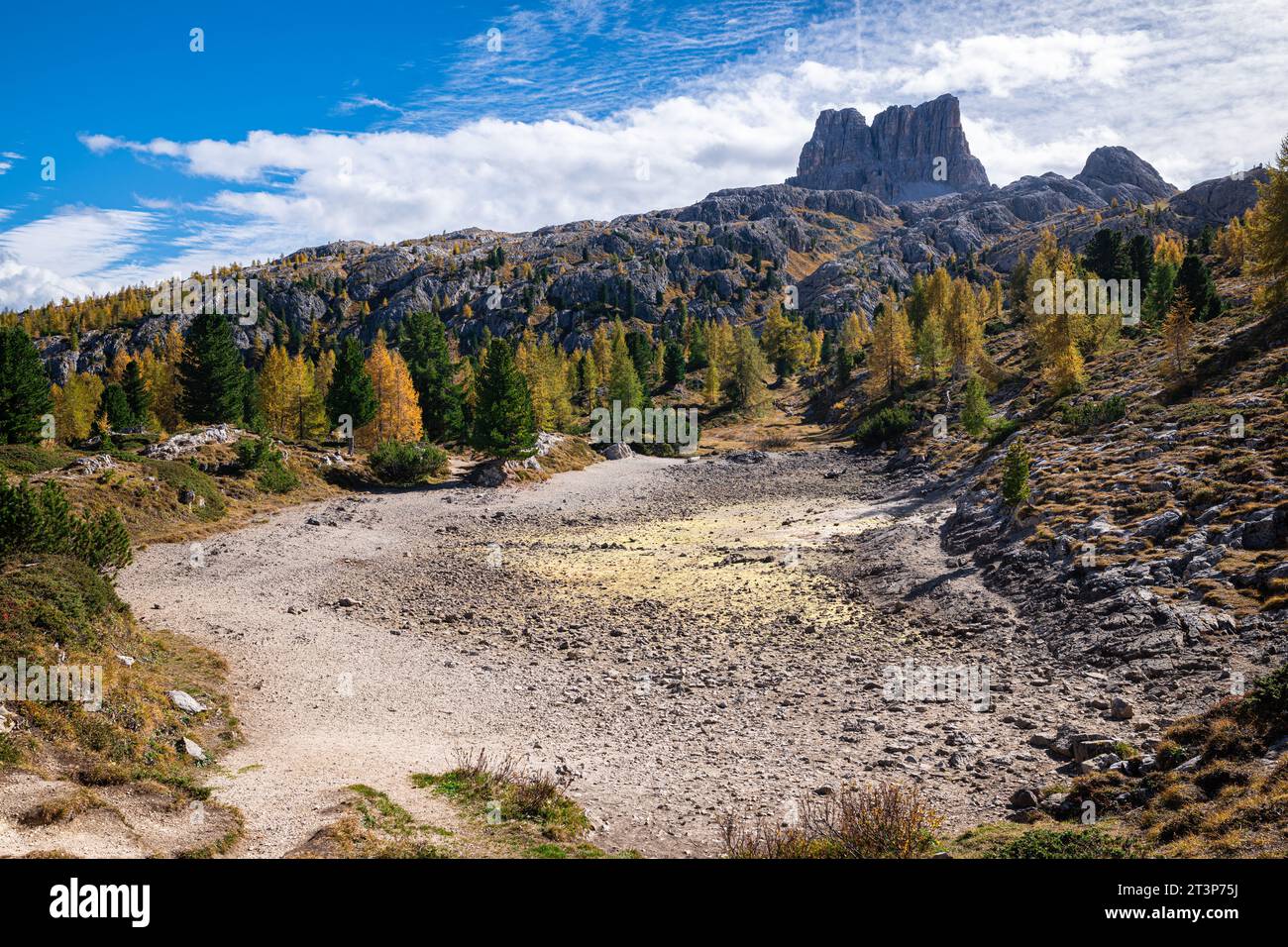 Lac asséché au milieu des mélèzes dorés Banque D'Images