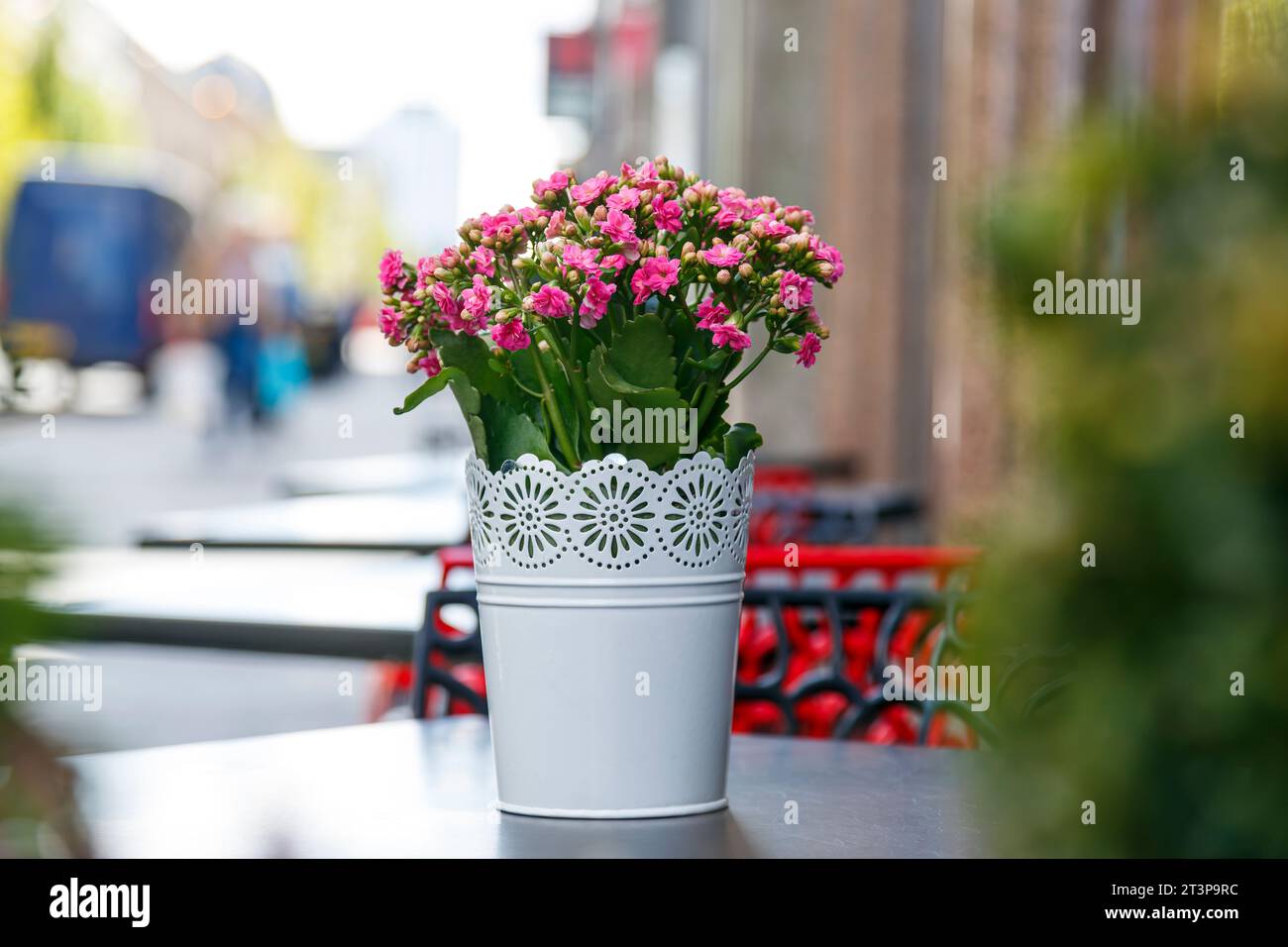 Table de café extérieure avec un pot de fleurs artificielles, Royaume-Uni Banque D'Images