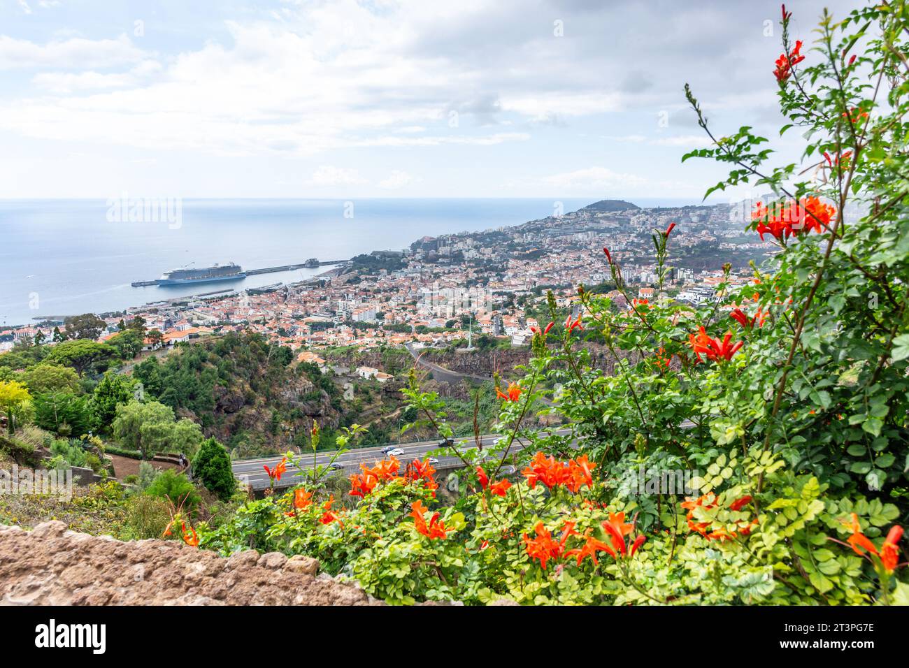 Panorama de la ville depuis Jardim Botânico da Madeira (jardin botanique de Madère), Monte , Funchal, Madère, Portugal Banque D'Images