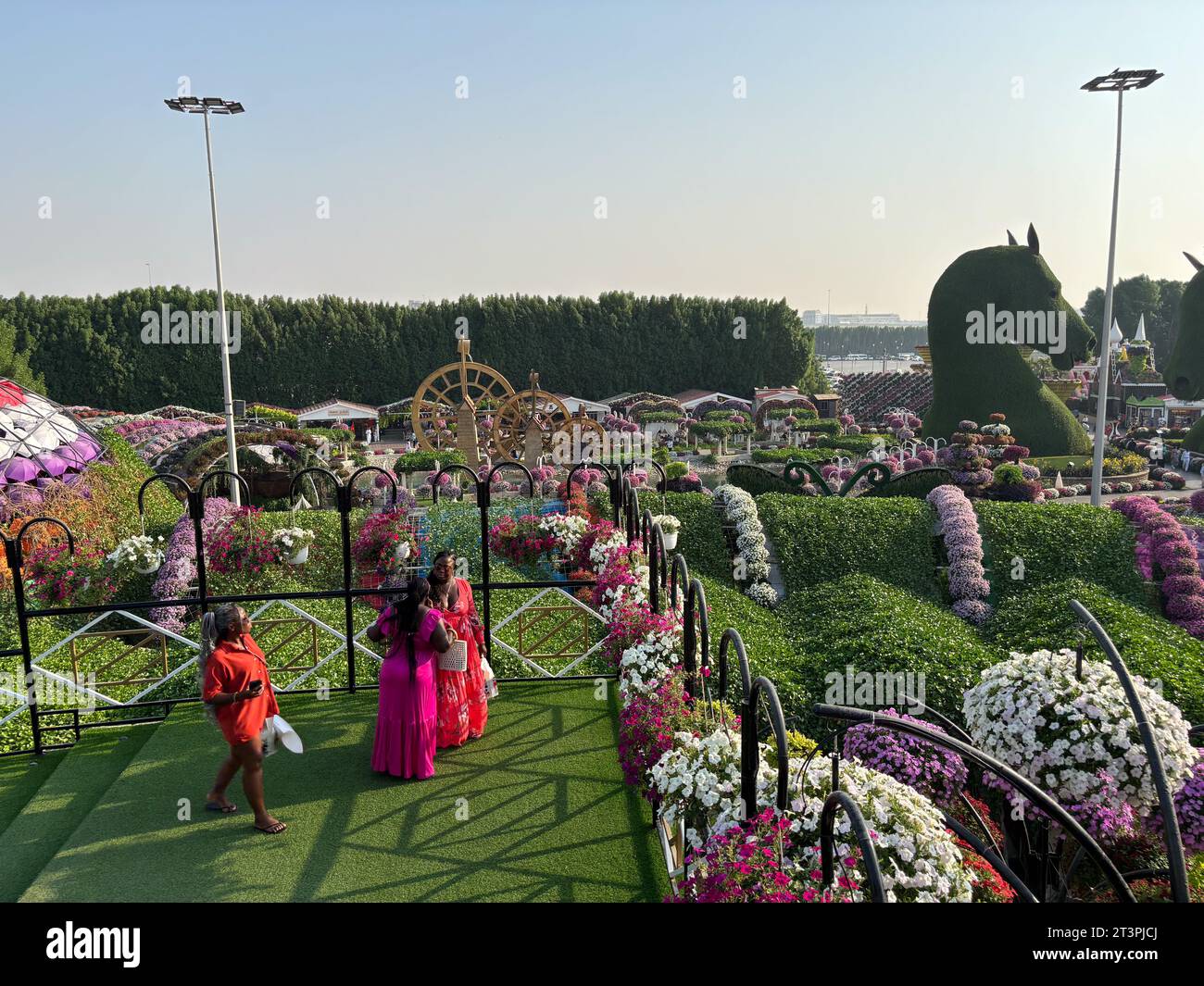 Émirats arabes Unis, Dubaï, 2023-10-19. Miracle Garden Dubai est un pays des merveilles florales situé à Dubaï, aux Émirats arabes Unis. Réparti sur 72 000 mètres carrés, il abrite plus de 45 millions de fleurs, de plantes et d'arbres répartis dans 7 jardins thématiques. Photographie de Fred MARIE / collectif DR. Émirats arabes Unis, Dubaï, 2023-10-19. Miracle Garden Dubai est une merveille florale qui rassemble plus de 45 millions de fleurs, de plantes et d arbres repartis dans 7 jardins a theme. Photographie de Fred MARIE / collectif DR. Banque D'Images