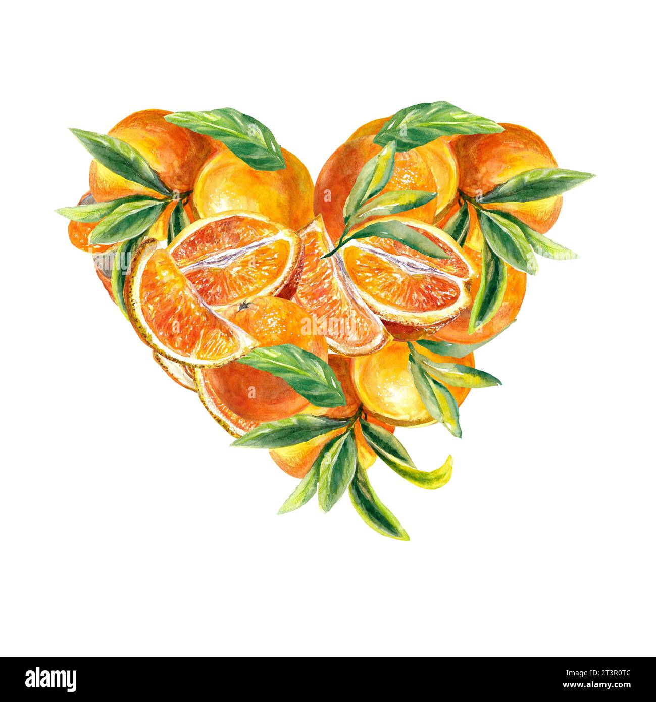 Coeur de fruits lumineux d'oranges. Illustration aquarelle isolée sur