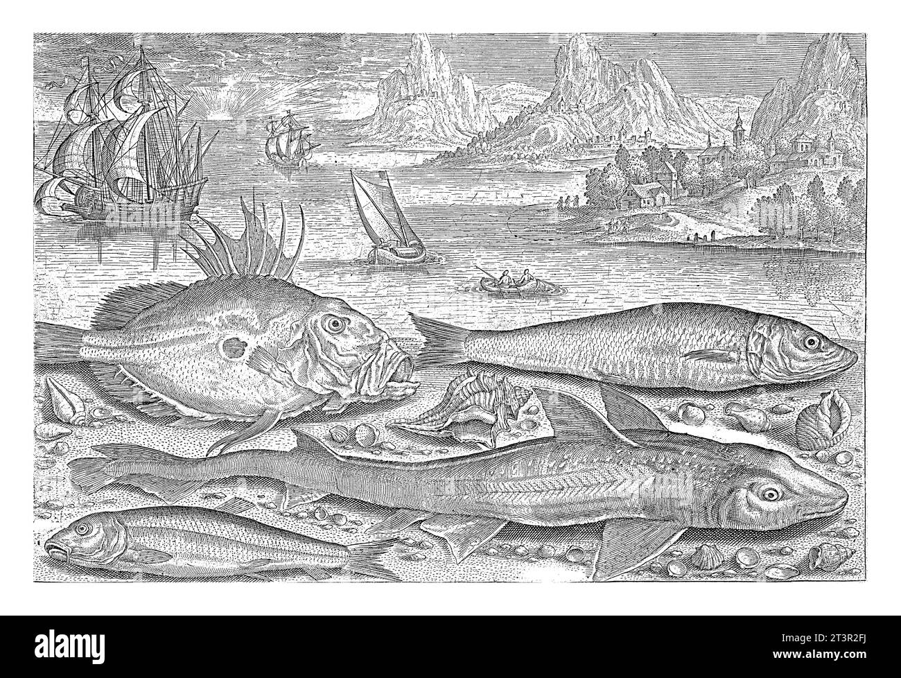 Quatre poissons sur la plage, Adriaen Collaert, 1627 - 1636 Un gudgeon, une ronce, un esturgeon et un hareng sont échoués sur la plage avec quelques coquillages Banque D'Images