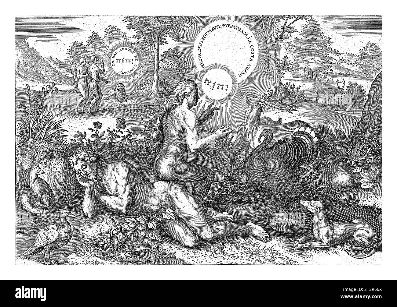 Création d'Eve, Johann Sadeler (I), d'après Crispijn van de passe (I), 1639 la création d'Eve. Au premier plan Adam dort. Eve a été créé fr Banque D'Images