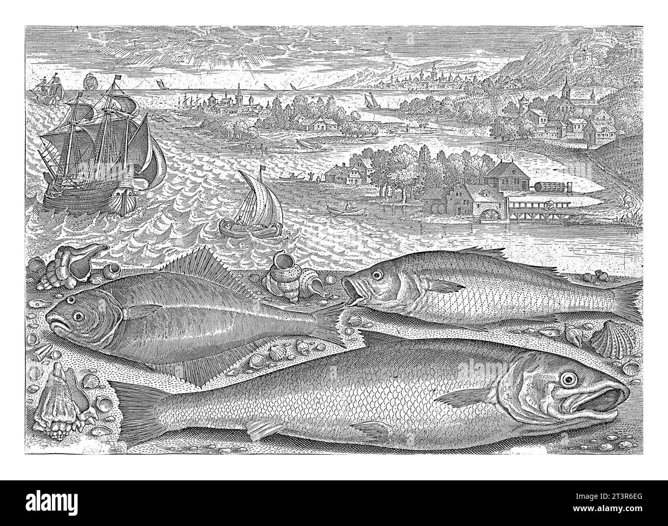 Trois poissons sur la plage, Adriaen Collaert, 1627 - 1636 Une sole, un saumon et un bar reposent sur la plage avec quelques coquillages. Banque D'Images