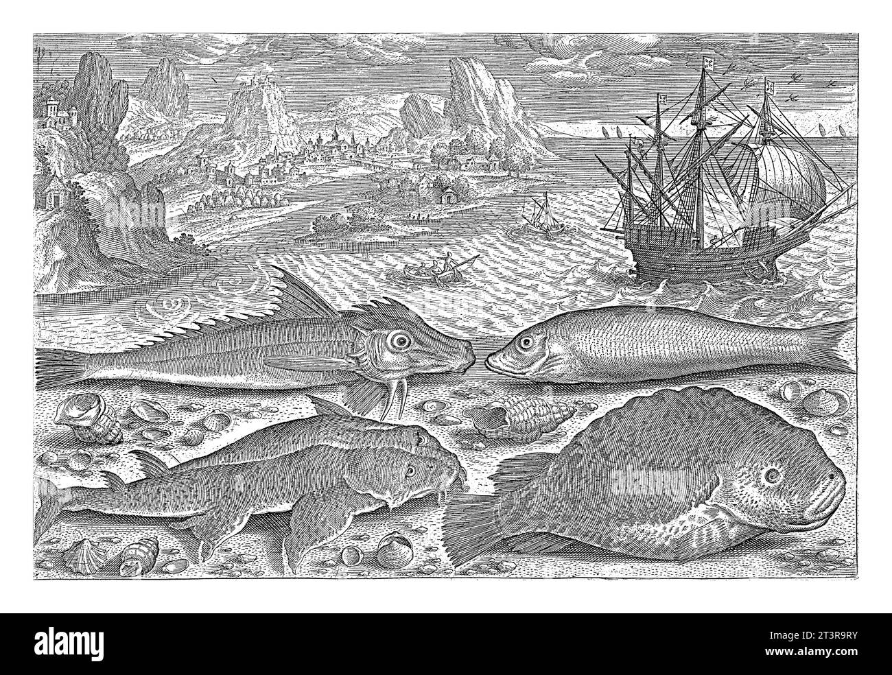 Quatre poissons sur la plage, Adriaen Collaert, 1627 - 1636 Un gurnard, une bonite, le corégone et la langouste sont échoués sur la plage, avec ainsi Banque D'Images
