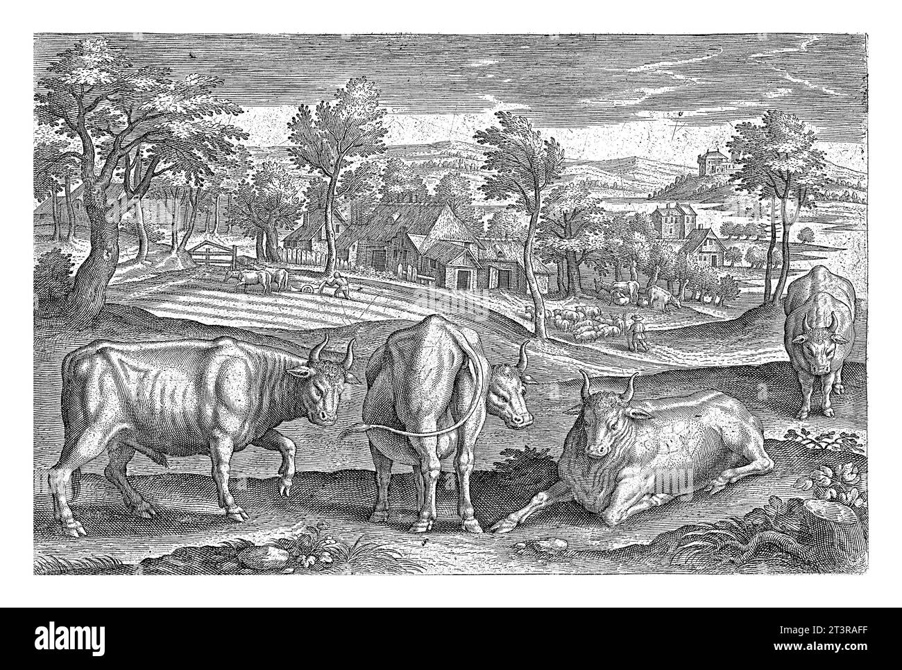 Bétail, Adriaen Collaert, 1595 - 1597 quatre taureaux au premier plan. En arrière-plan un paysage avec une ferme. L'impression fait partie d'une série avec anim Banque D'Images