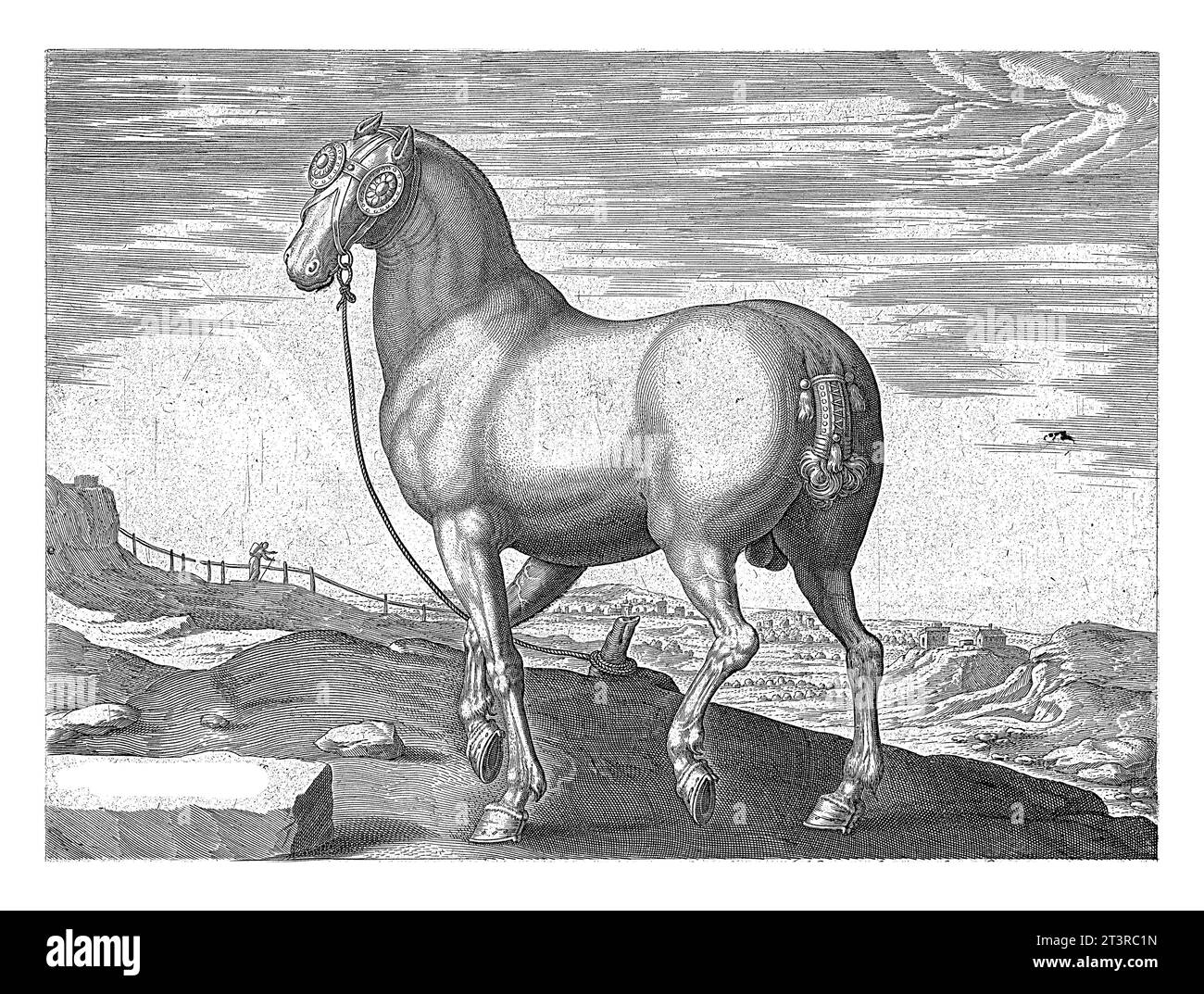 Cheval de Corse, Hendrick Goltzius (peut-être), d'après Jan van der Straet, c. 1578 - c. 1580 Un cheval Corse, vu obliquement de derrière. Banque D'Images