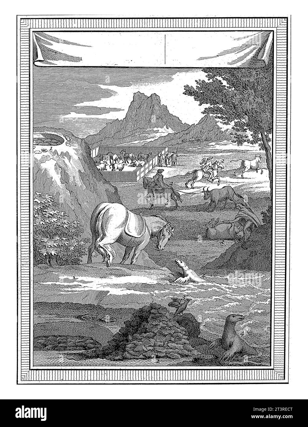 Attraper des taureaux chiliens, Harmanus Vinkeles, 1755 - 1800 Paysage au Chili, avec un sparrowhawk, un cheval et deux otaries au premier plan. Banque D'Images