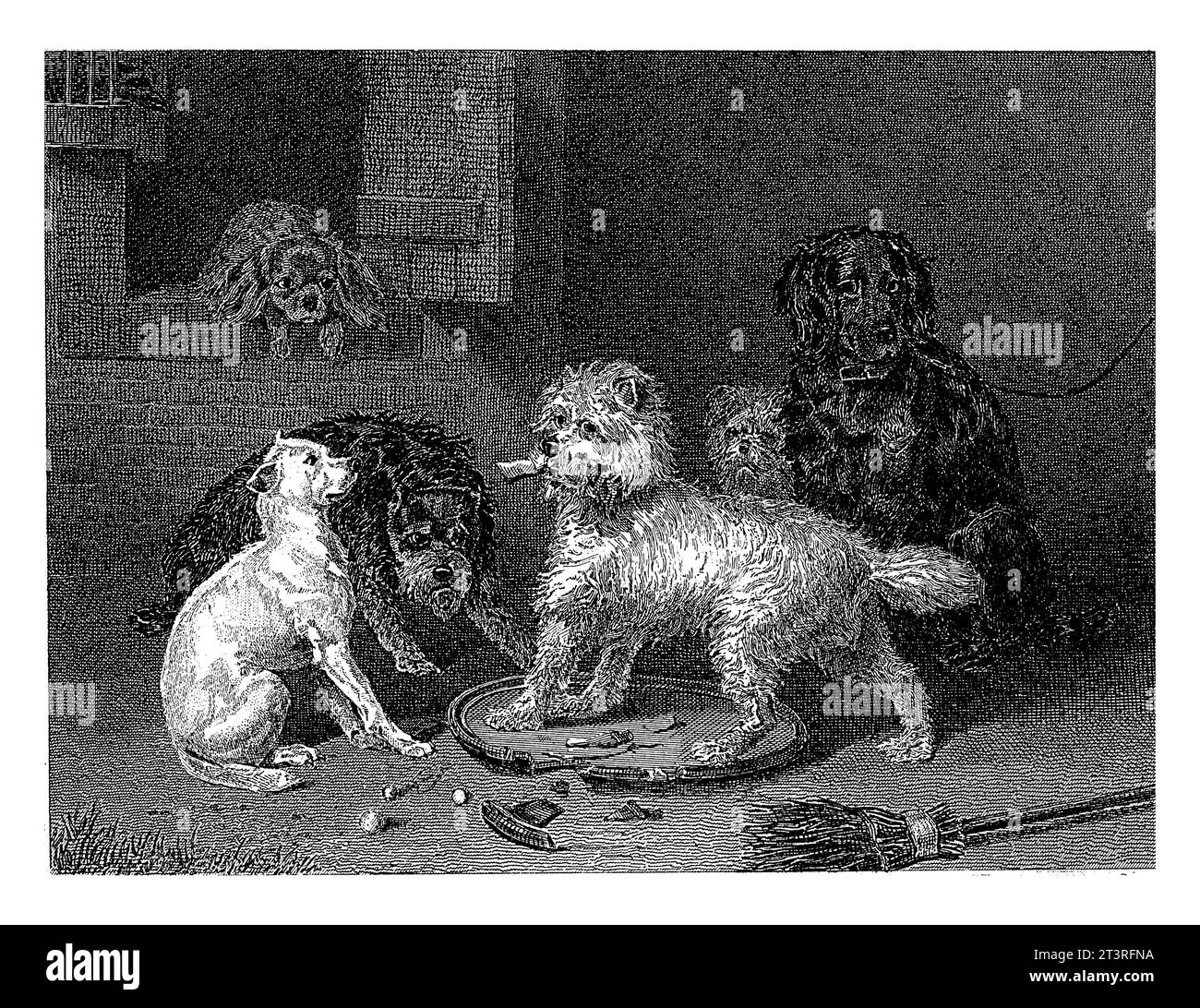 Divers chiens à un mur, Christiaan Lodewijk van Kesteren, d'après Bernard te Gempt, 1886 - 1897 six chiens pour une maison. Banque D'Images