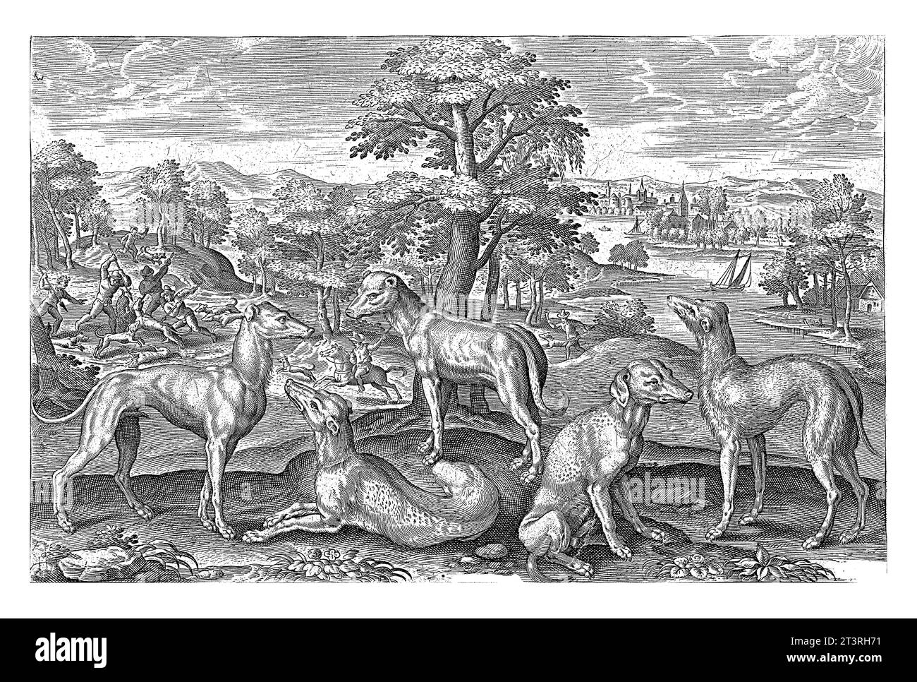 Chiens de chasse, Adriaen Collaert, 1595 - 1633 au premier plan cinq chiens de chasse. En arrière-plan un paysage avec une rivière et une chasse au loup. Banque D'Images