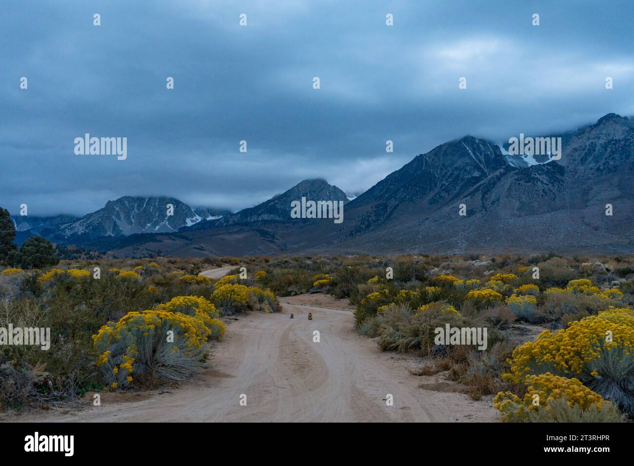 Matin nuageux dans les Buttermilks, au pied des montagnes de la Sierra Nevada à Bishop California. Couleurs d'automne et montagnes enneigées avec la Banque D'Images