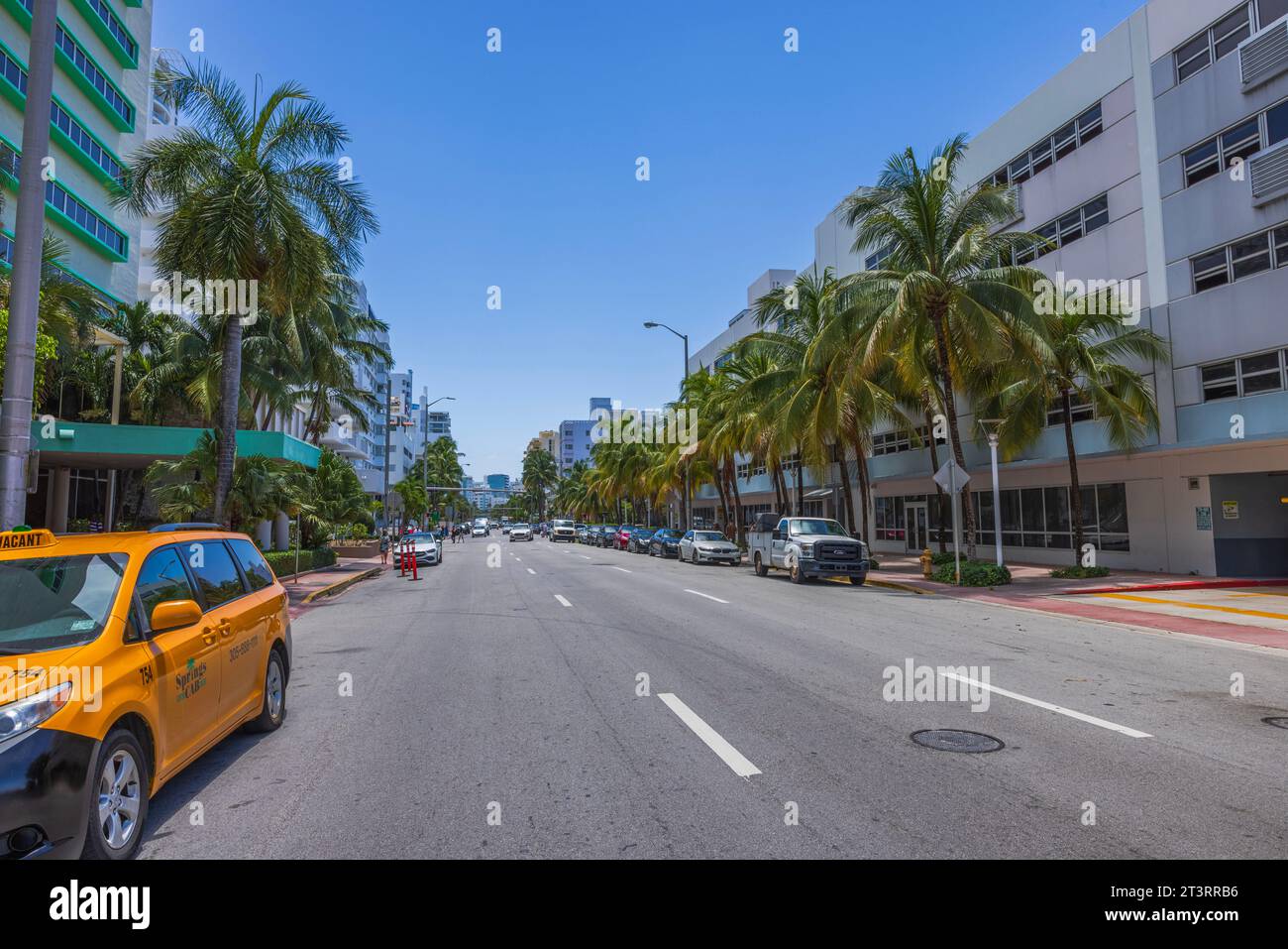 Belle vue sur Collins Avenue à Miami Beach avec des voitures et des palmiers sur l'autoroute avec en toile de fond le ciel bleu. Miami Beach. ÉTATS-UNIS. Banque D'Images