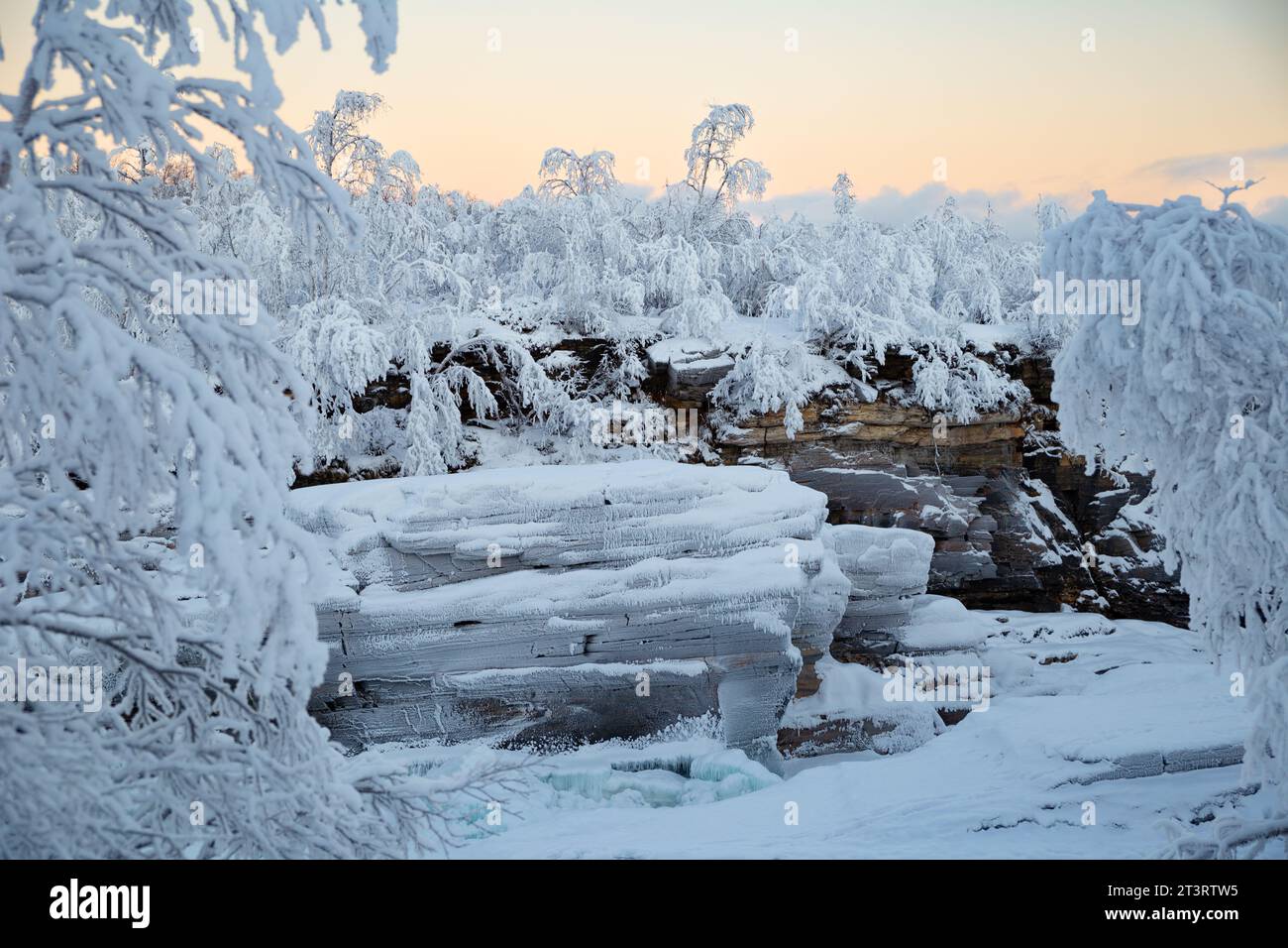 Enneigé Abisko Canyon en hiver dans le parc national d'Abisko, conte de fées Banque D'Images