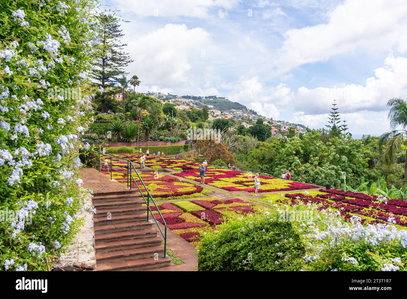 Jardin chorégraphié au Jardim Botânico da Madeira (jardin botanique de Madère), Monte, Funchal, Madère, Portugal Banque D'Images