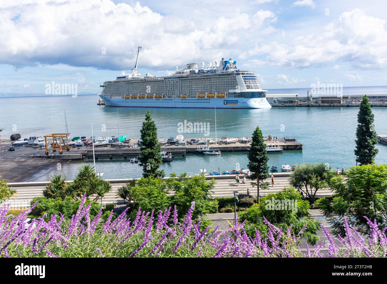 Navire de croisière Royal Caribbean 'Anthem of the Seas' à quai, Funchal, Madère, Portugal Banque D'Images