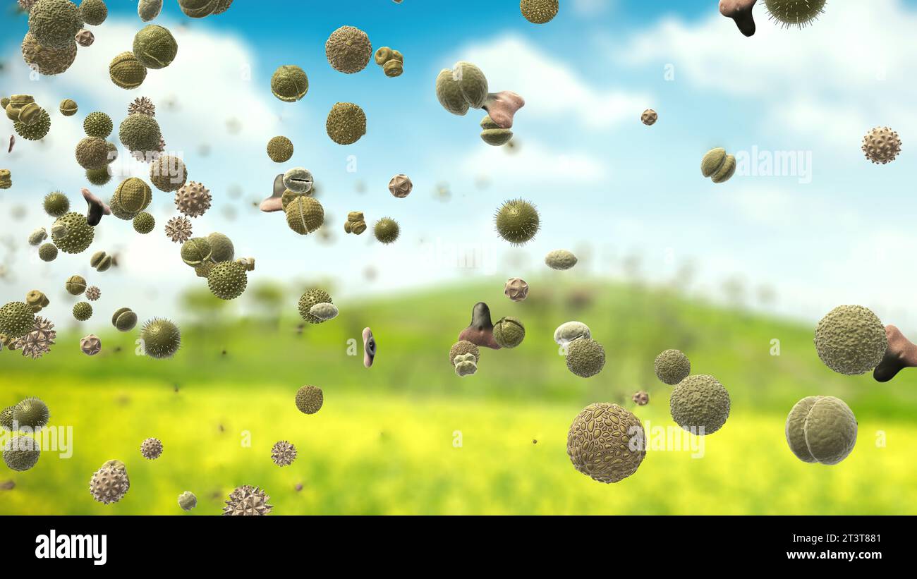 Les grains de pollen, qui peuvent déclencher des allergies, sont transportés dans l'air dans une prairie au printemps - illustration 3D. Banque D'Images