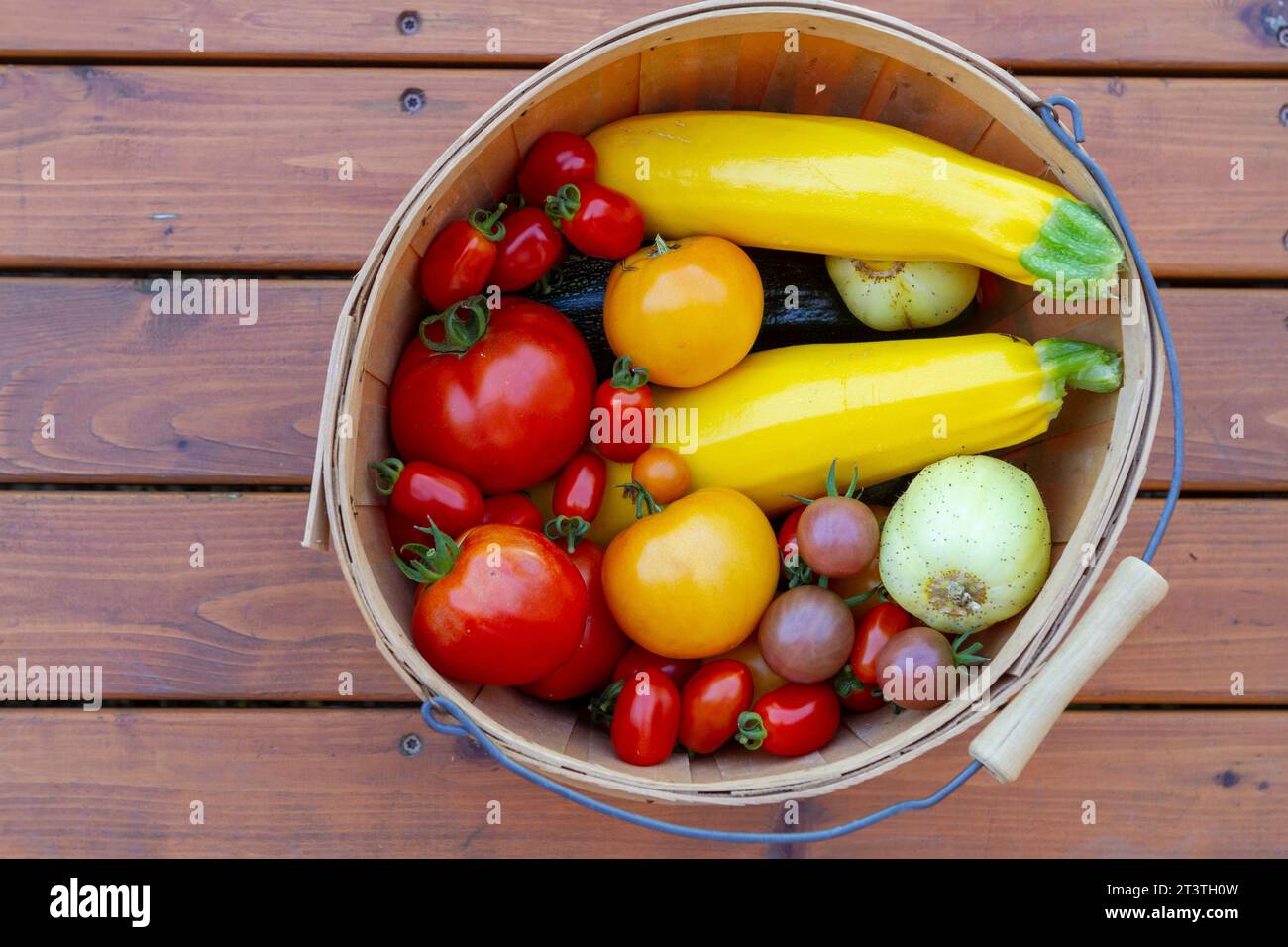 Vue de dessus du panier de fruits et légumes du jardin fraîchement cueillis, y compris courgettes jaunes, concombres au citron et assortiment de tomates Banque D'Images