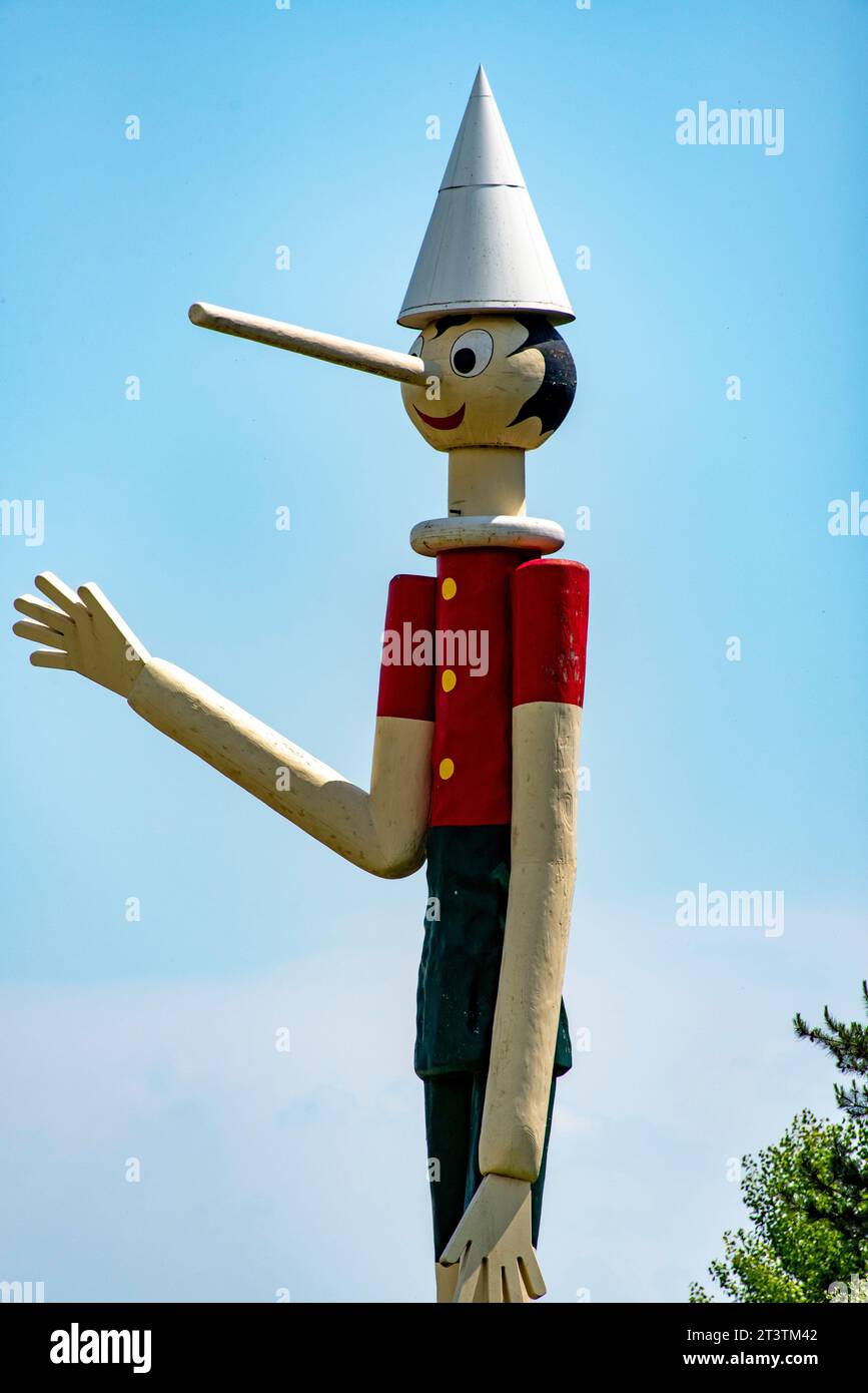 Statue Pinocchio en bois la plus haute du monde - Collodi - Italie Banque D'Images