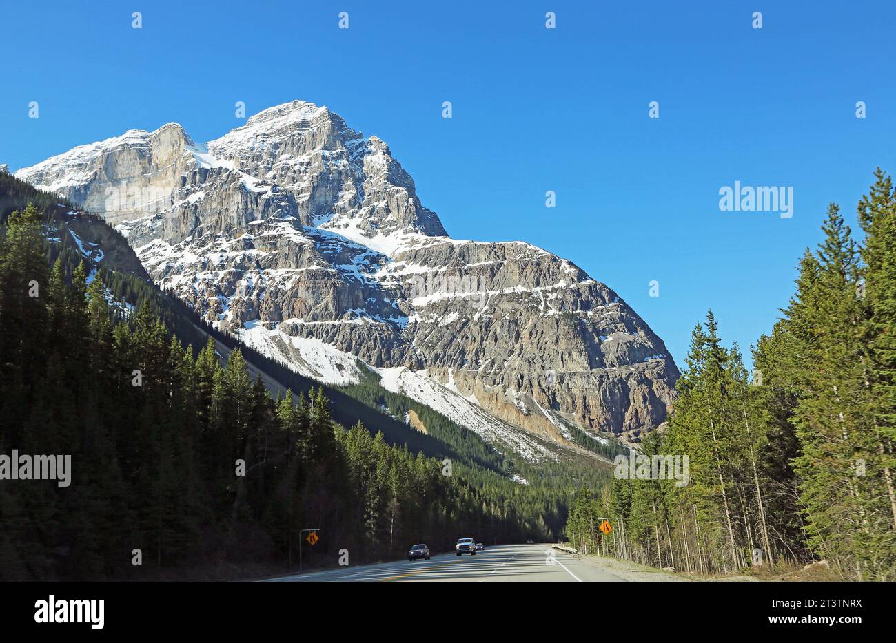 Cathedral Mountain, parc national Banff, Canada Banque D'Images