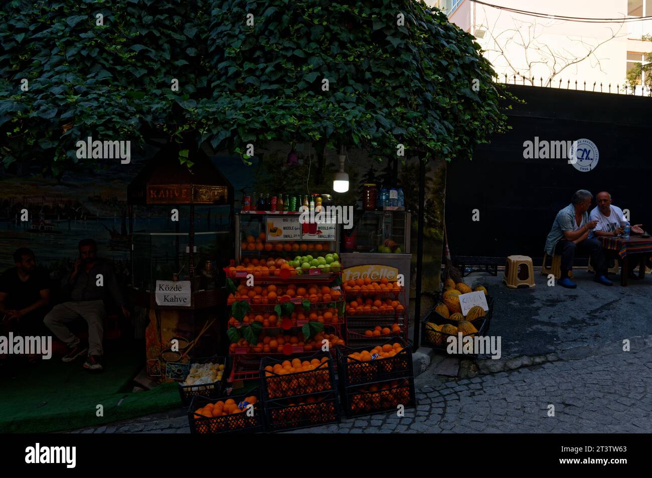 Stalle de rue animée nichée à l'ombre d'un arbre tentaculaire, offrant une gamme de fruits frais et de boissons rafraîchissantes dans une rue en pente. Banque D'Images