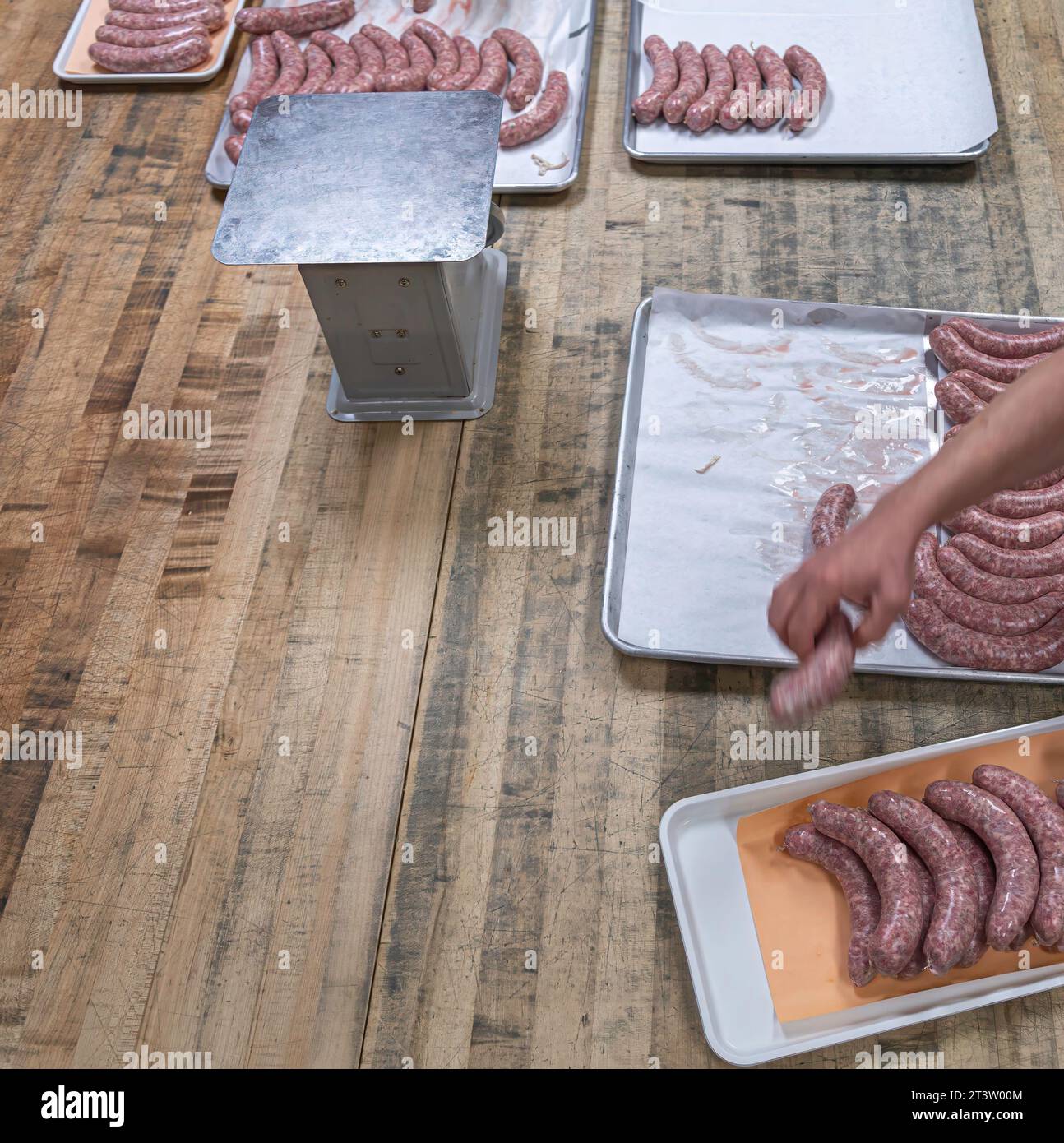 Image isolée en gros plan haute résolution du processus de création de saucisses crues non cuites faites à la main dans une boucherie boutique- USA Banque D'Images