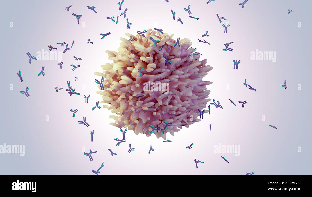 Les lymphocytes B aident à protéger le corps contre les germes, les virus ou les bactéries en fabriquant des protéines appelées rendu 3d des anticorps Banque D'Images
