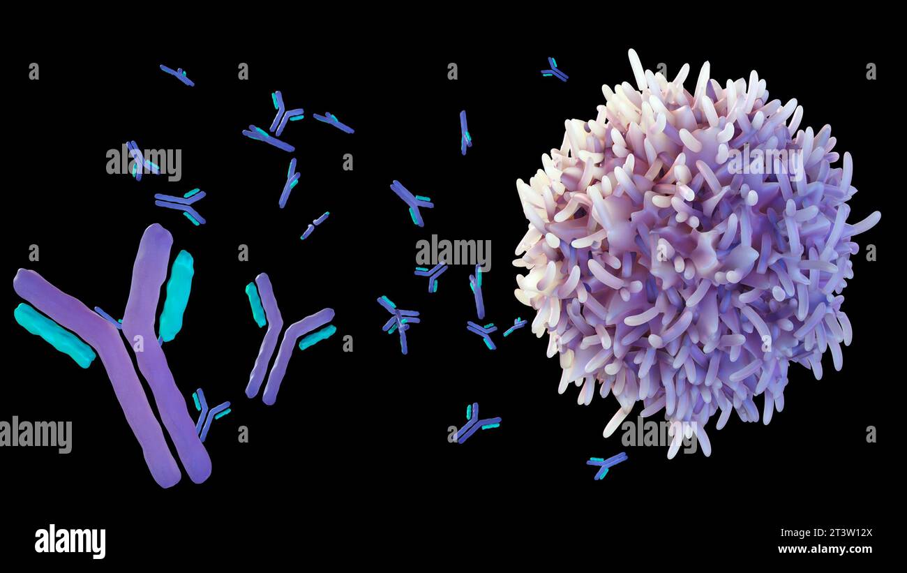 Les lymphocytes B aident à protéger le corps contre les germes, les virus ou les bactéries en fabriquant des protéines appelées rendu 3d des anticorps Banque D'Images