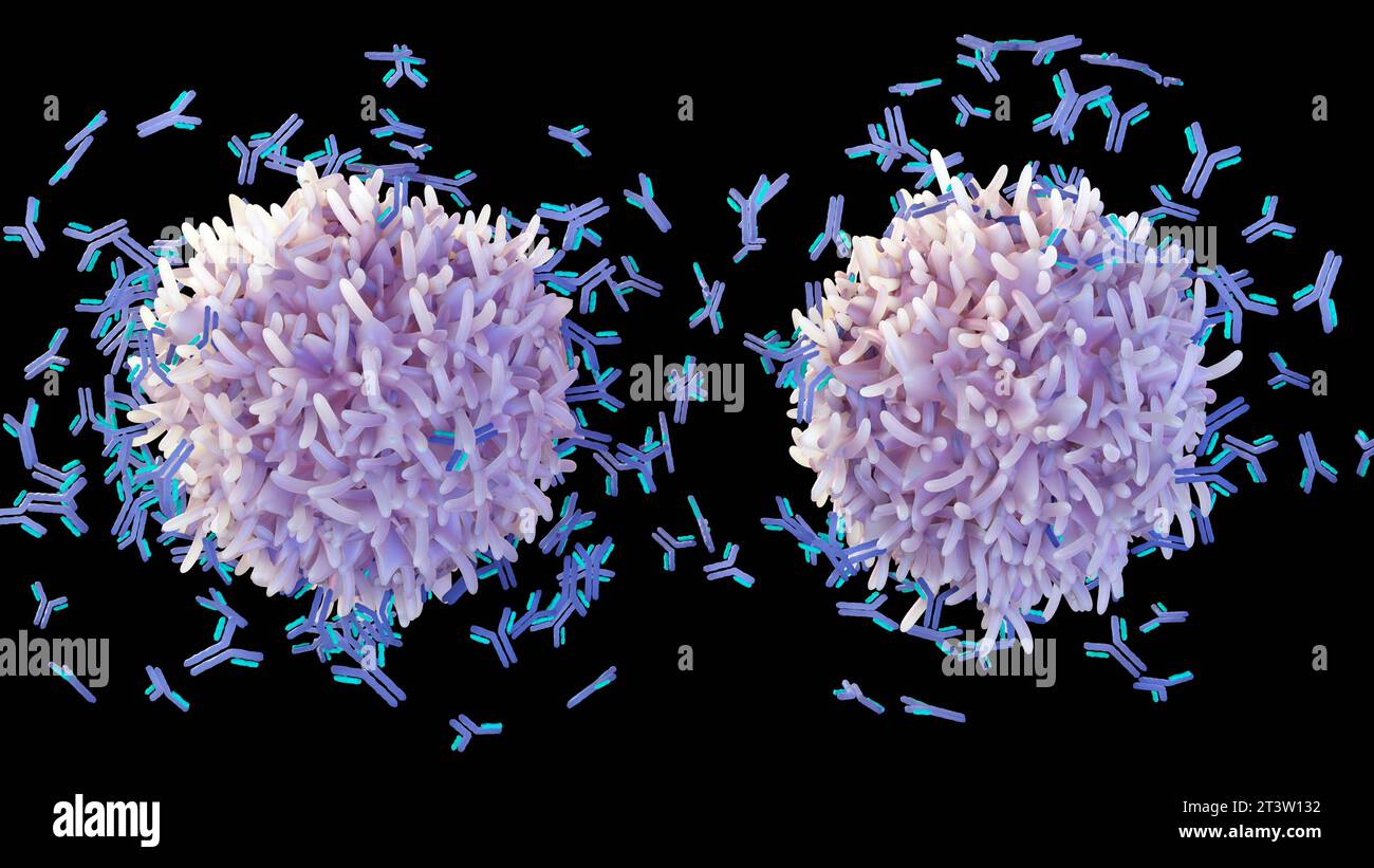 Les lymphocytes B aident à protéger le corps contre les germes, les virus ou les bactéries en fabriquant des protéines appelées rendu 3d des anticorps Banque D'Images