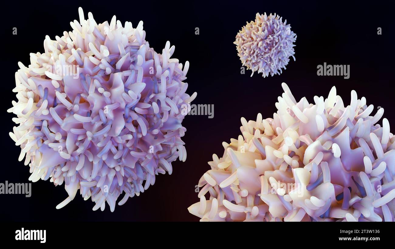 Les globules blancs appelés lymphocytes, les lymphocytes B aident normalement à protéger le corps contre les germes en faisant des protéines appelées anticorps rendu 3D. Banque D'Images