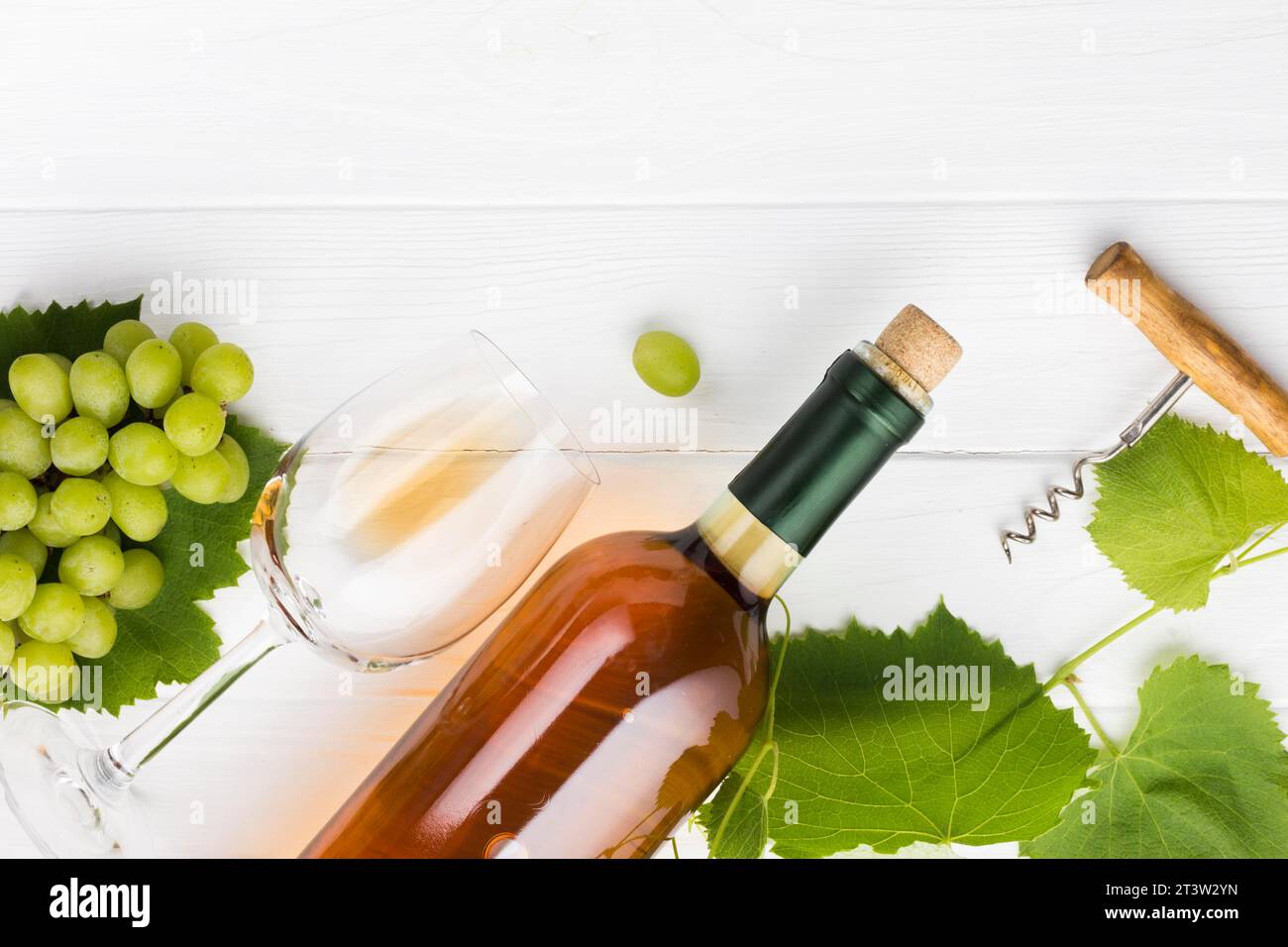 Concept de vignes de vin de brandy oblique Banque D'Images