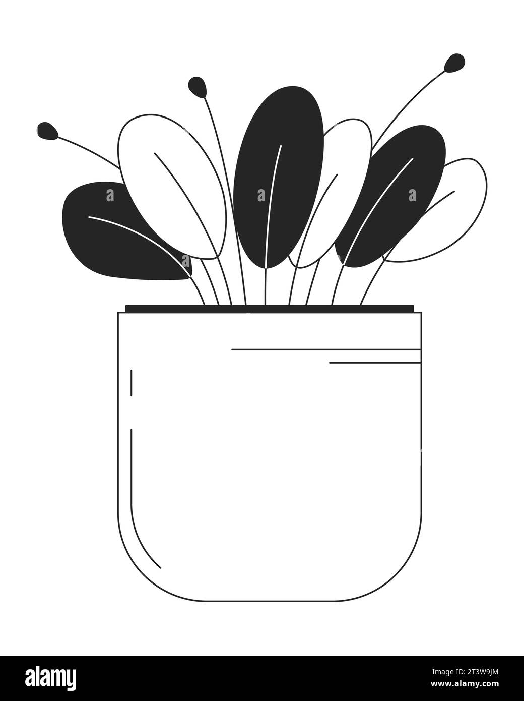 Peperomia plante en pot noir et blanc objet de dessin animé de ligne 2D. Illustration de Vecteur