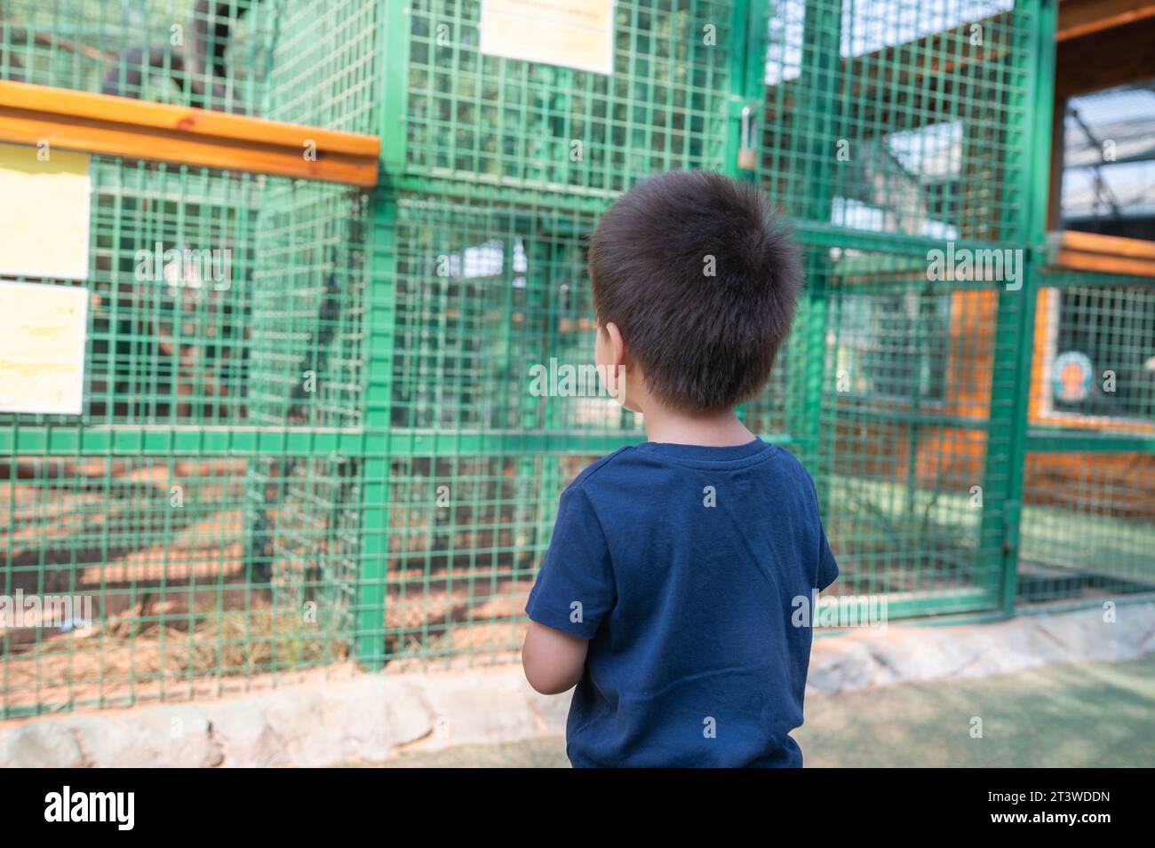 Adorable bébé garçon multiracial debout devant la cage avec des animaux dans un zoo. Amusement en plein air pour les enfants. Vacances week-end en famille, concept de friendshi Banque D'Images