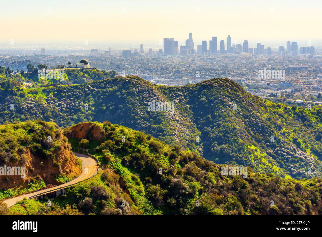 L'emblématique Griffith Observatory niché au cœur des Hollywood Hills, offre une vue imprenable sur Los Angeles en arrière-plan. Banque D'Images