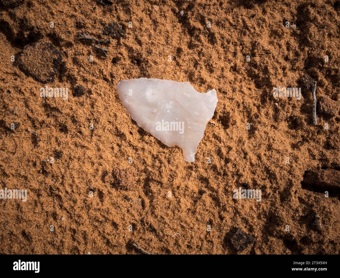 Une pointe de flèche se trouve dans la saleté. Banque D'Images