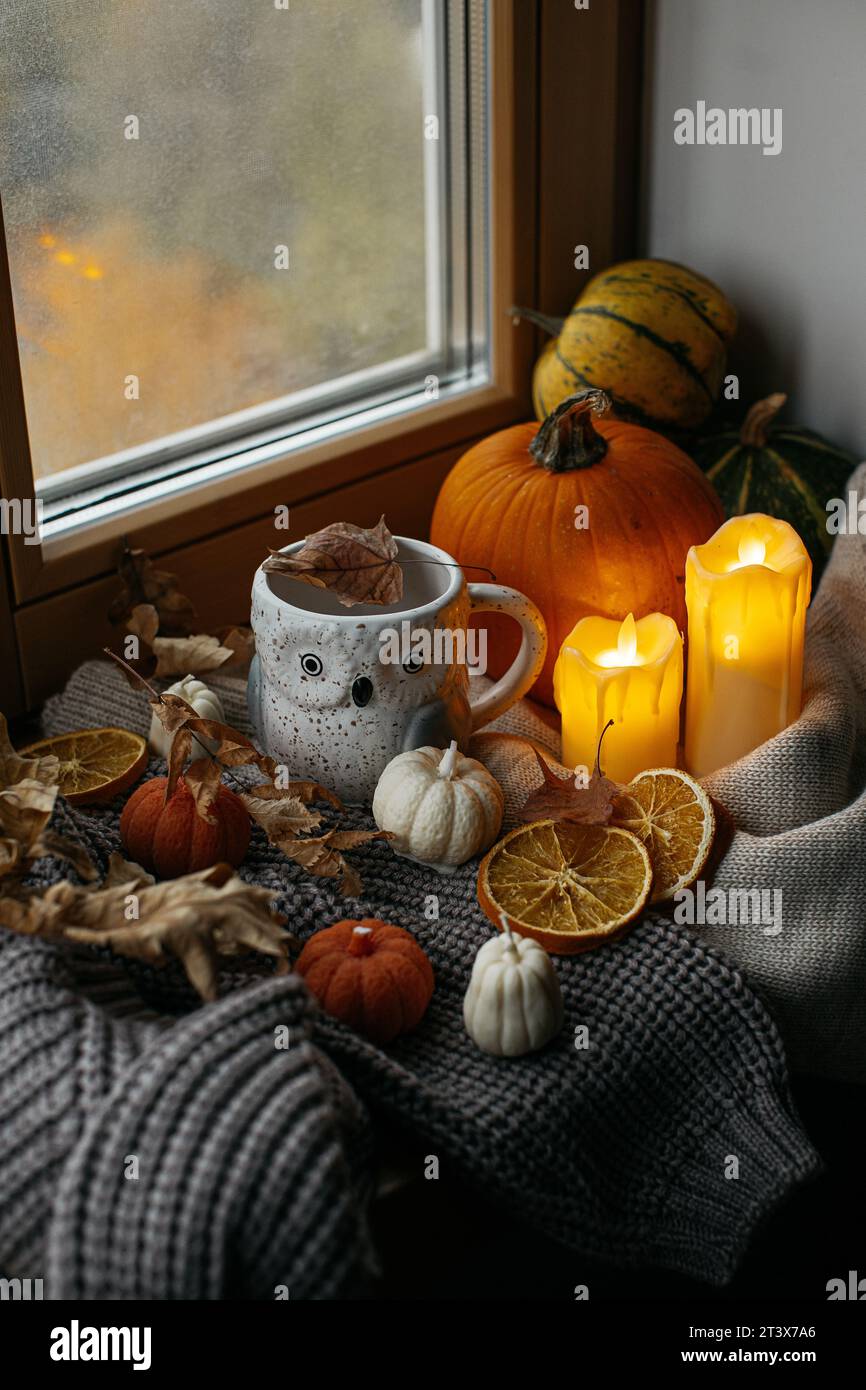 Décoration Halloween avec tasse hibou, citrouilles et bougies Banque D'Images