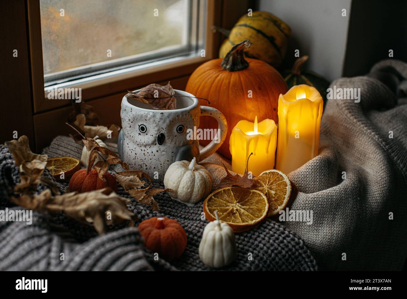 Décoration Halloween avec tasse hibou, citrouilles et bougies Banque D'Images
