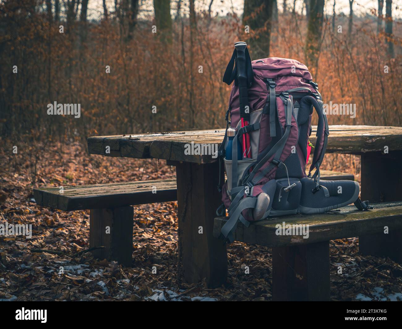 Sac à dos de trekking d'expédition sur un banc en bois dans une forêt d'automne remplie de bâtons de randonnée de bouteille d'eau Banque D'Images