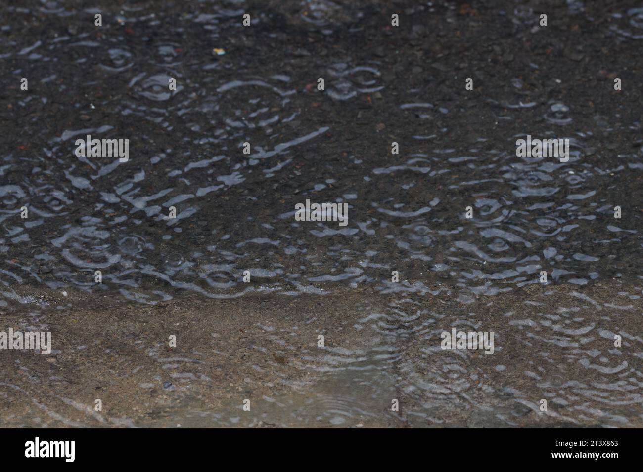 La pluie forme des cercles en tombant sur l'eau accumulée sur l'asphalte d'une rue de la ville. Image abstraite Banque D'Images