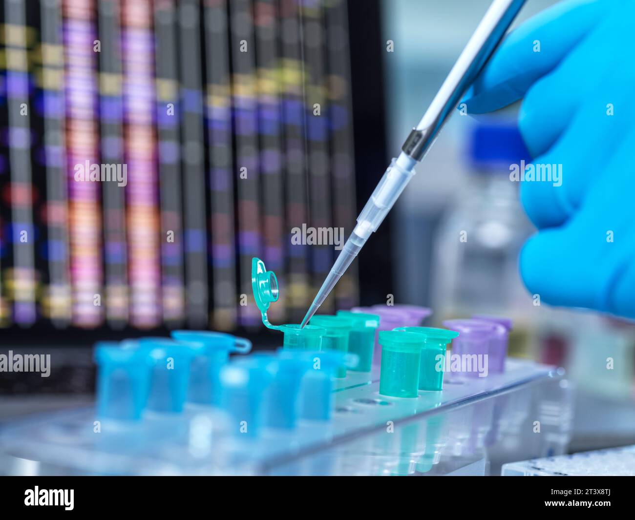 Recherche génétique, scientifique extrayant l'ADN d'un flacon pour analyse. Banque D'Images