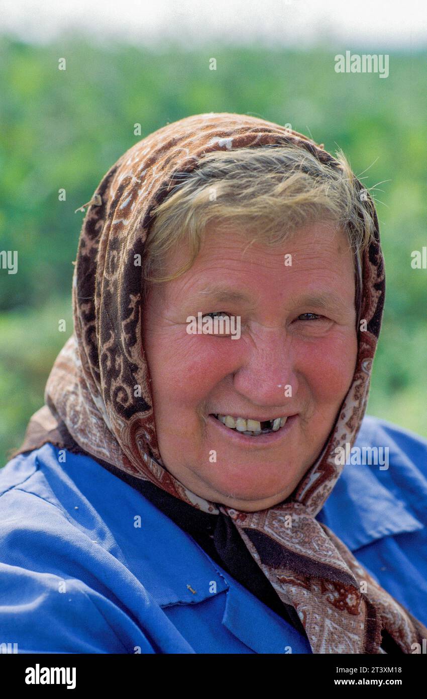 Bulgarie, région de Dobrich, femmes au travail dans le champ de paprika. Banque D'Images