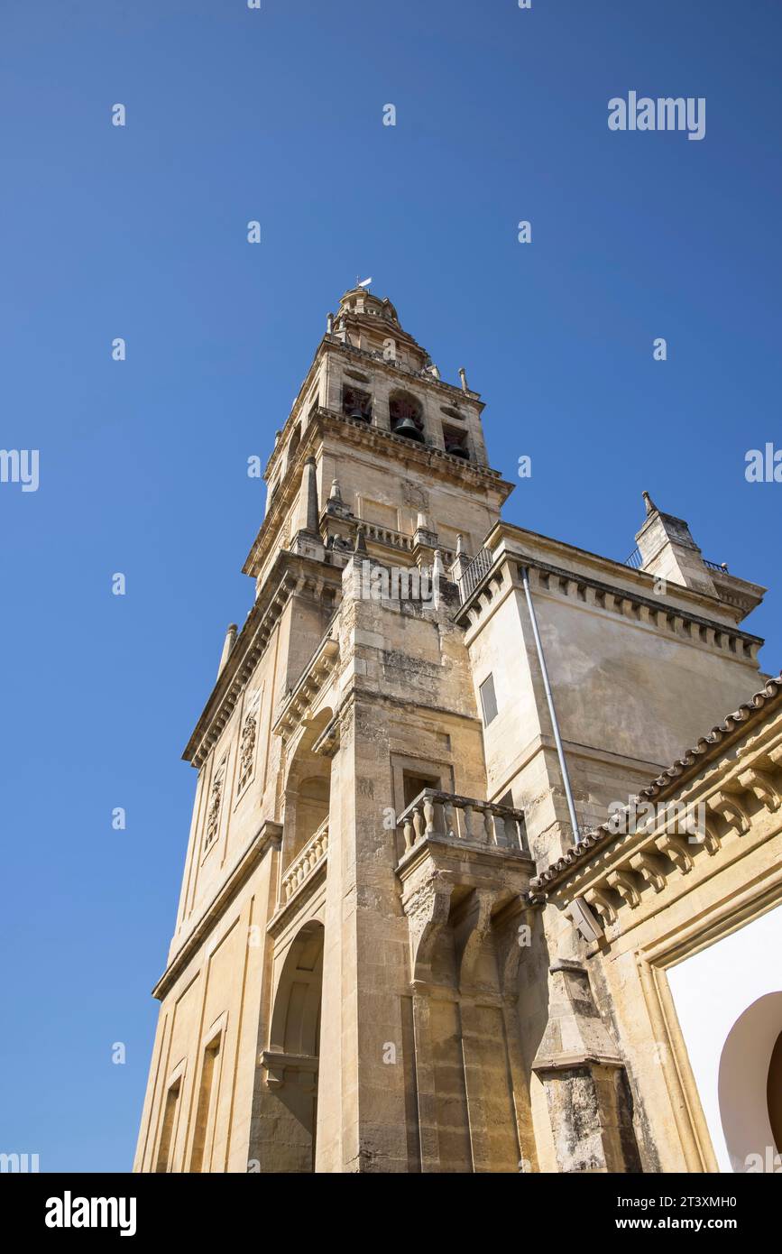 la mezquita est une cathédrale catholique romaine construite sur le site de la grande mosquée de cordoue andalousie espagne. Banque D'Images