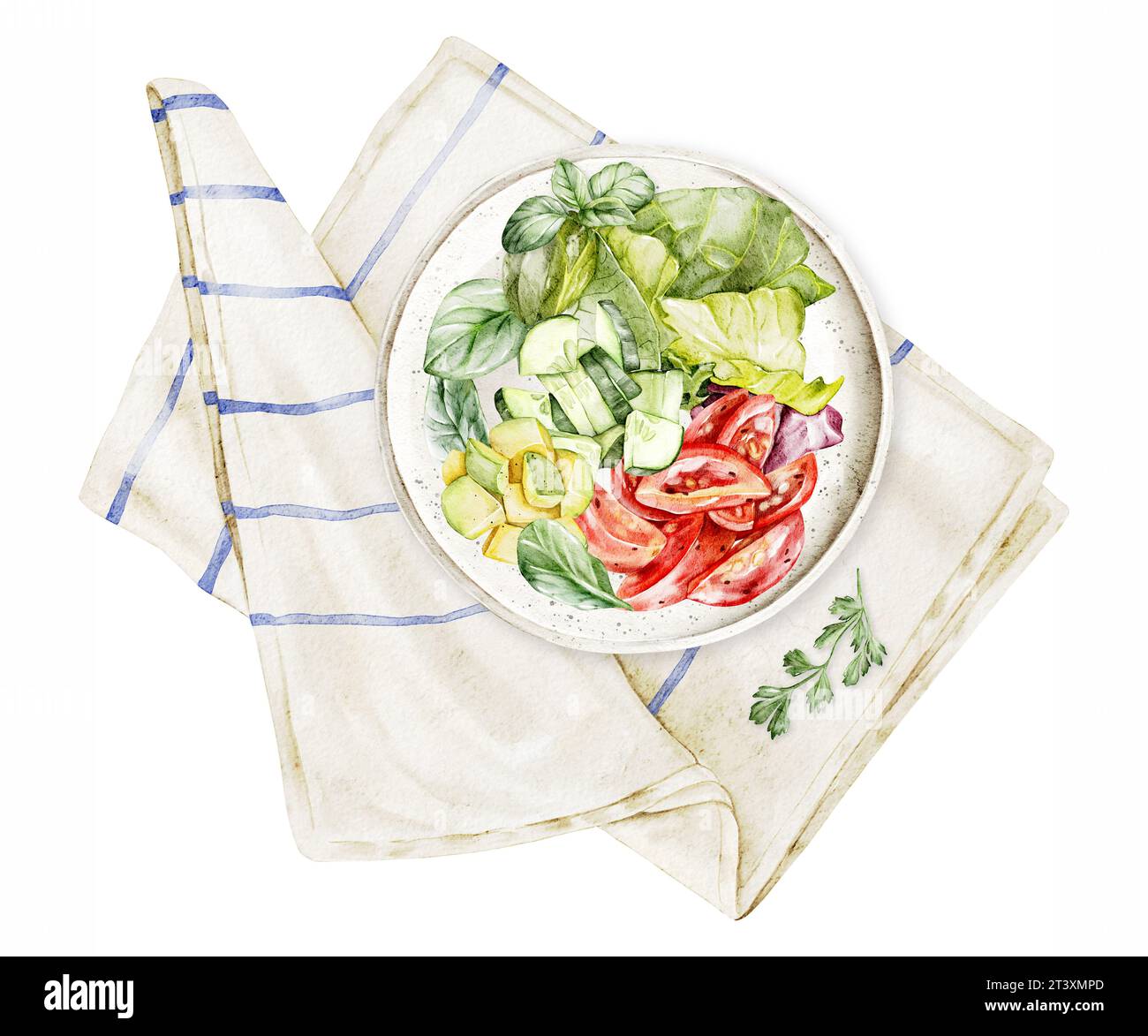 Avocat, tomates, concombres, laitue, légumes verts dans une assiette sur une serviette en lin. Concepts végétaliens d'aliments sains. Vue de dessus. Illustration aquarelle dessinée à la main f Banque D'Images